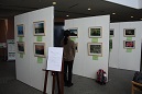 巡回写真展　「すばらしい自然を」